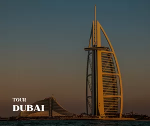 Read more about the article Dubai Tours